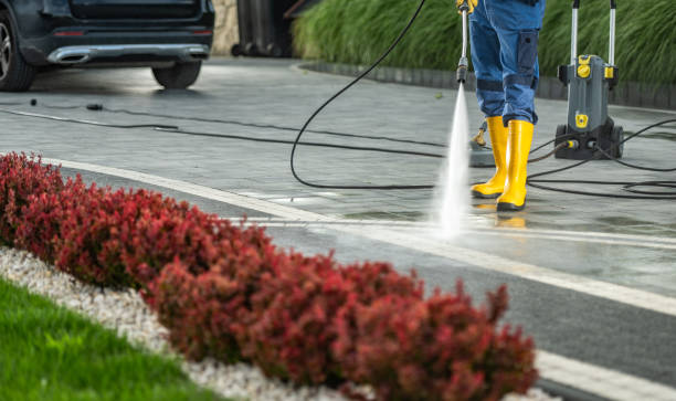 Best Dumpster Area Cleaning  in Newton, MA